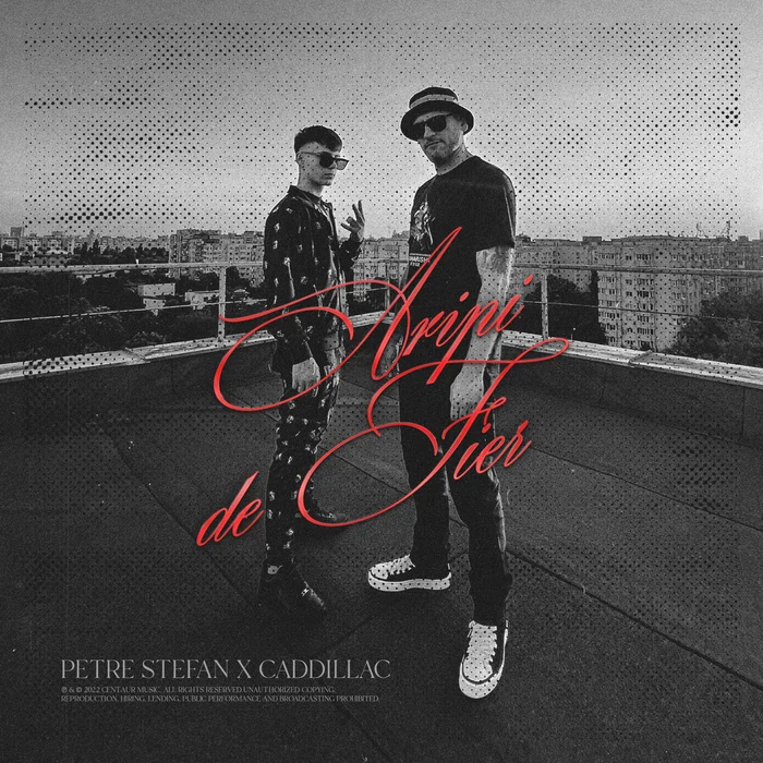 PETRE STEFAN și CADDY
