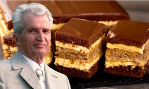 prajitura pioner png