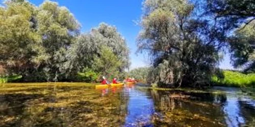 Delta Dunării turism FOTO AMDTDD