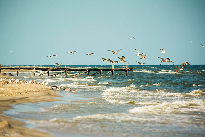 Cele mai frumoase plaje din România. Plaja Sfântu GheorgheFoto Click!