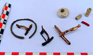 Piese de podoabă, descoperite de arheologi într-un cimitir al dacilor liberi, în apropiere de Târgu Neamț (© Facebook / Vasile Diaconu - archaeologist)