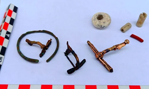 Piese de podoabă, descoperite de arheologi într-un cimitir al dacilor liberi, în apropiere de Târgu Neamț (© Facebook / Vasile Diaconu - archaeologist)