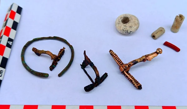 Piese de podoabă, descoperite de arheologi într-un cimitir al dacilor liberi, în apropiere de Târgu Neamț (© Facebook / Vasile Diaconu - archaeologist)