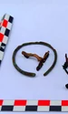 Piese de podoabă, descoperite de arheologi într-un cimitir al dacilor liberi, în apropiere de Târgu Neamț (© Facebook / Vasile Diaconu - archaeologist)