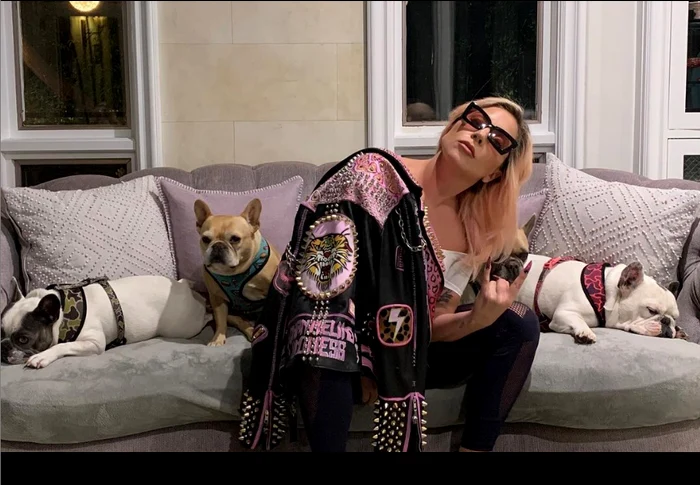 1 gaga png png