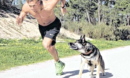 Căţeaua Roxy  nu l pierde  din ochi  pe Pascal jpeg