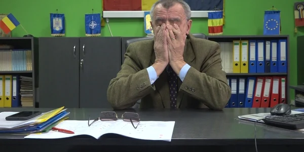 director vaslui