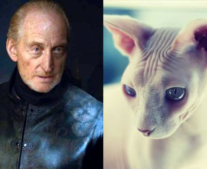 Tywin Lannister