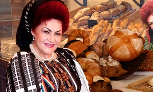 banner elena merișoreanu jpg