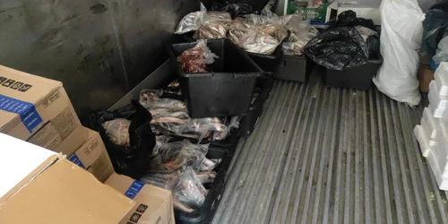 Control ANPC Costinesti foto ANPC jpeg