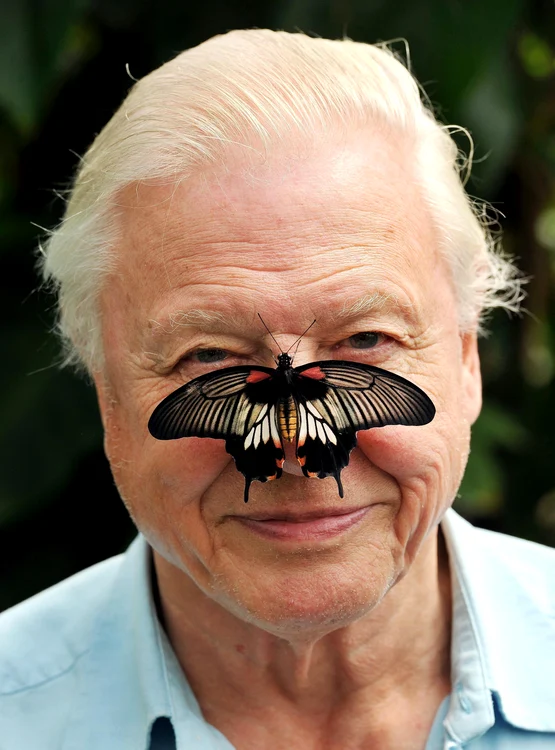 Sir David a tradus vocea naturii pe înțelesul omului de rând. FOTO: Getty Images