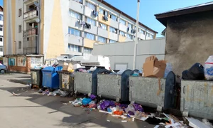 colectare gunoi olt   foto a m (2) jpeg
