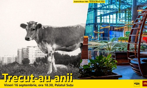 „Trecut-au anii 2022”, expoziție outdoor la Palatul Suțu