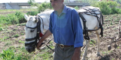 Agricultura, la a opta parte din potenţial