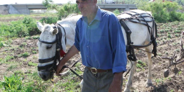 Agricultura, la a opta parte din potenţial