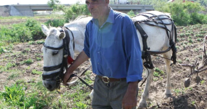 Agricultura, la a opta parte din potenţial