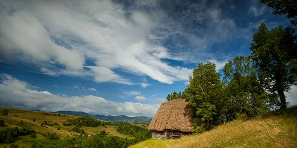 transilvania