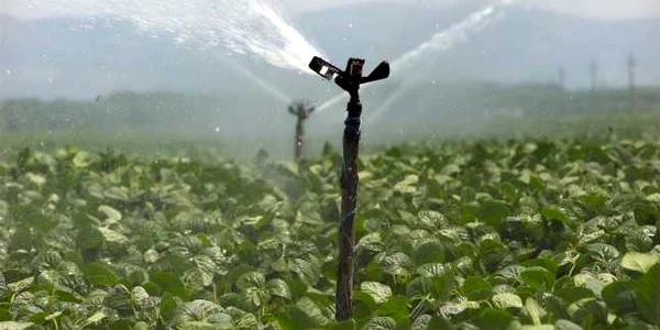 Suprafeţele irigate au crescut cu 3,4% în ultima săptămână