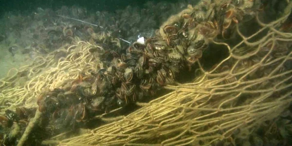 Proiectul Heras - harta descoperirilor subacvatice din Marea Neagră Sursa foto Geo Eco Mar