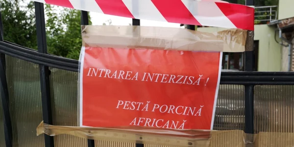 PESTA LUCIENI