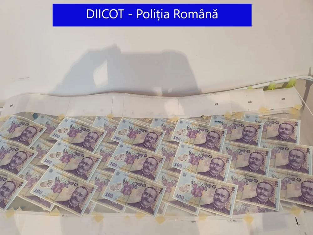 bani falsi foto diicot