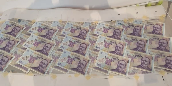 bani falsi foto diicot