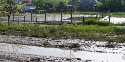 Ploaia a distrus sute de gospodării
