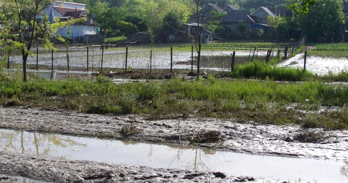 Ploaia a distrus sute de gospodării