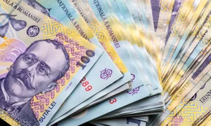 Bani - bancnote - lei FOTO Shutterstock 