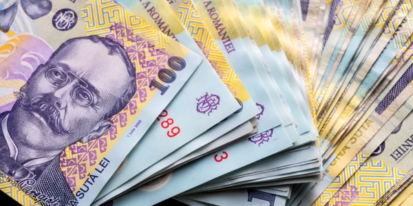 Bani - bancnote - lei FOTO Shutterstock 