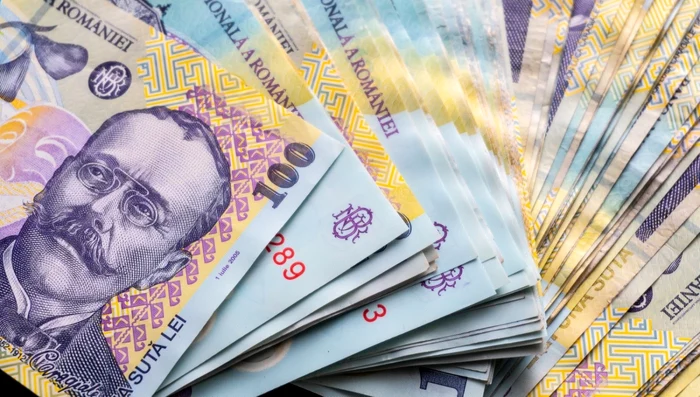 Bani - bancnote - lei FOTO Shutterstock