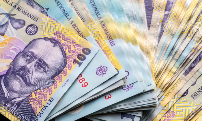 Bani - bancnote - lei FOTO Shutterstock 