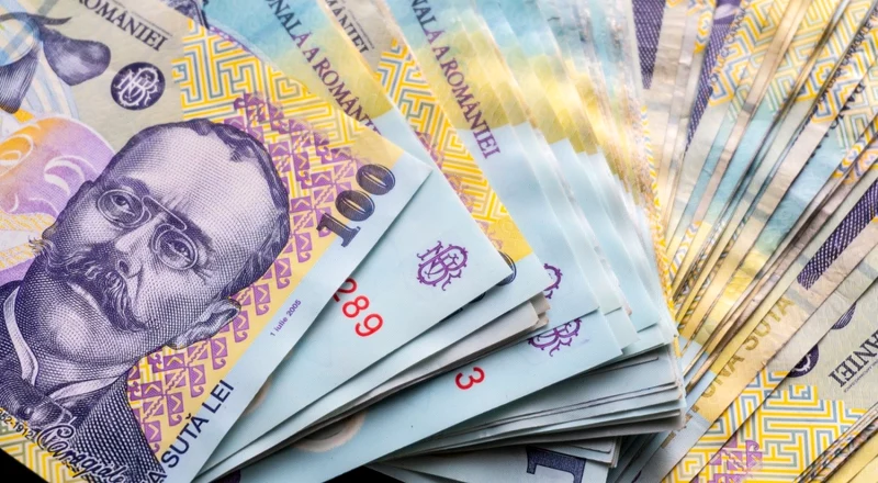 Bani - bancnote - lei FOTO Shutterstock 