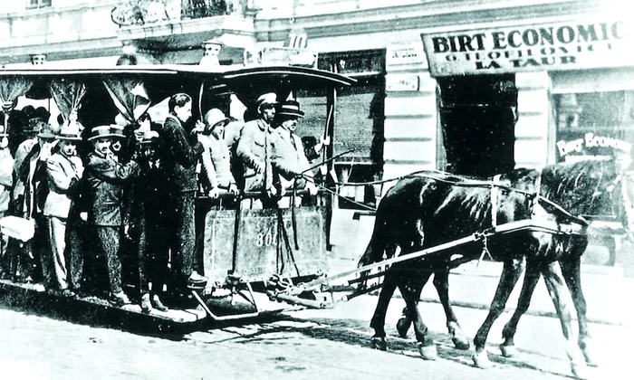 Tramvai cu cai