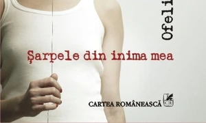 O jucărie de pluş jpeg