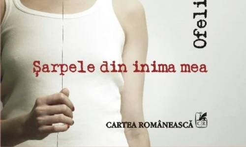 O jucărie de pluş jpeg
