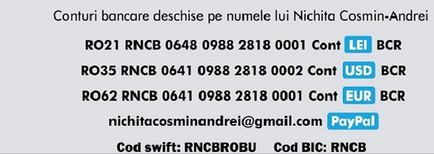 Conturile unde se pot depune bani pentru Cosmin