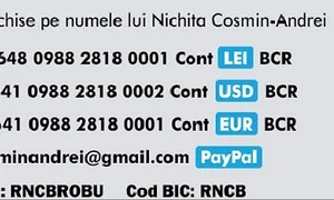Conturile unde se pot depune bani pentru Cosmin jpeg