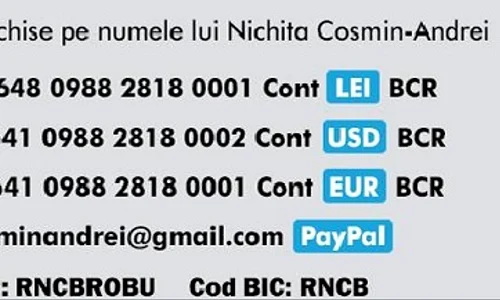 Conturile unde se pot depune bani pentru Cosmin jpeg