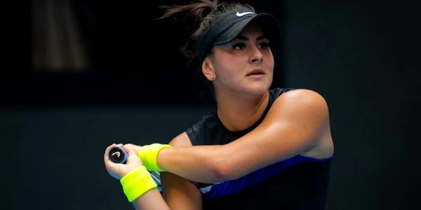 Andreescu