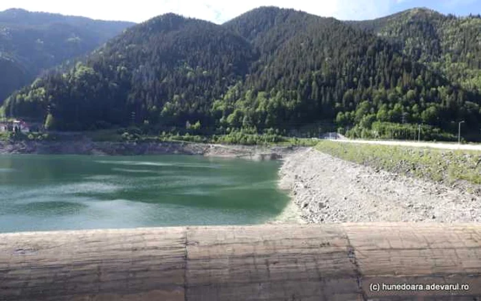 lacul gura apelor retezat foto daniel guta adevarul