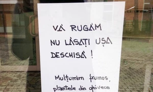 Cu ochii n 3,14 jpeg