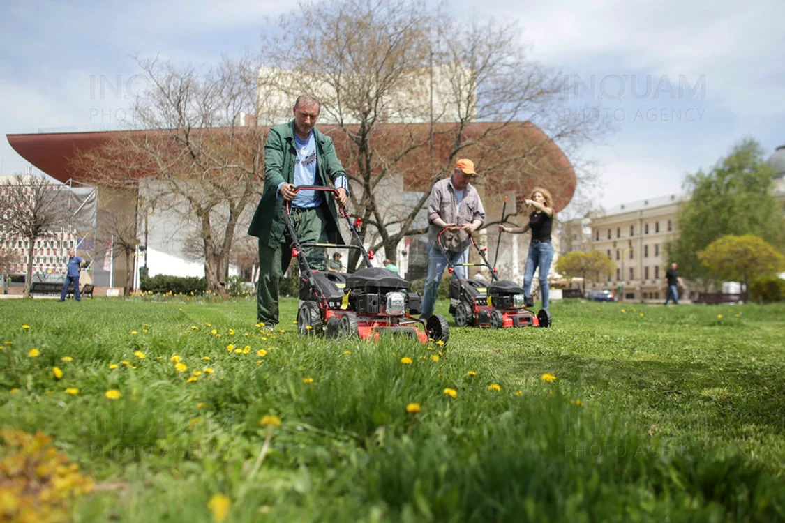 
    Cosirea gazonului în Capitală costă de patru ori mai mult decât prețul piețeiFoto: Inquam  