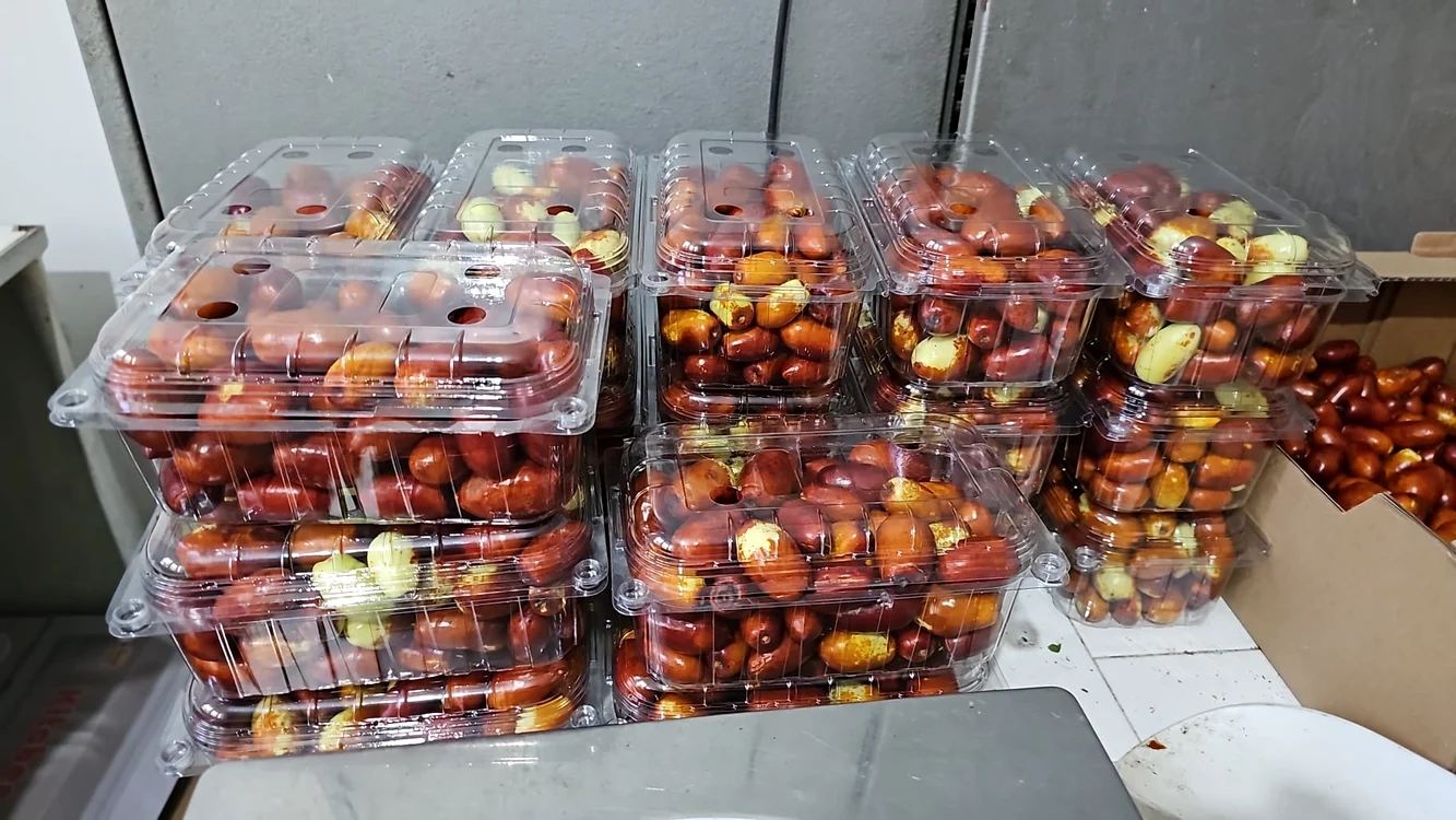 fructe_in_caserola