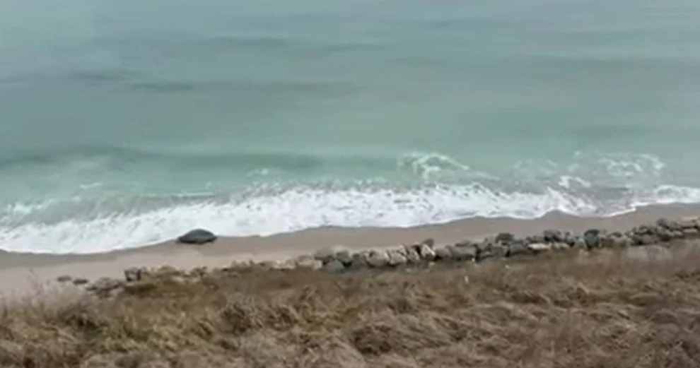 Alertă pe plajă: dronă găsită între Costinești și Tuzla, observată de trei tineri la plimbare cu bicicleta