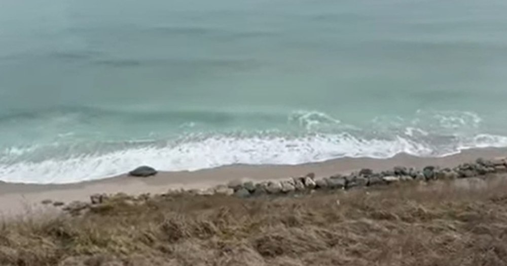 Alertă pe plajă: dronă găsită între Costinești și Tuzla, observată de trei tineri la plimbare cu bicicleta