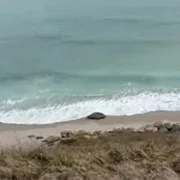 Screenshot 2026 02 12 140400 jpg