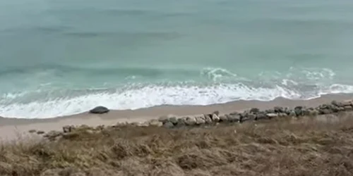 Screenshot 2026 02 12 140400 jpg