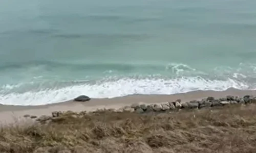 Screenshot 2026 02 12 140400 jpg