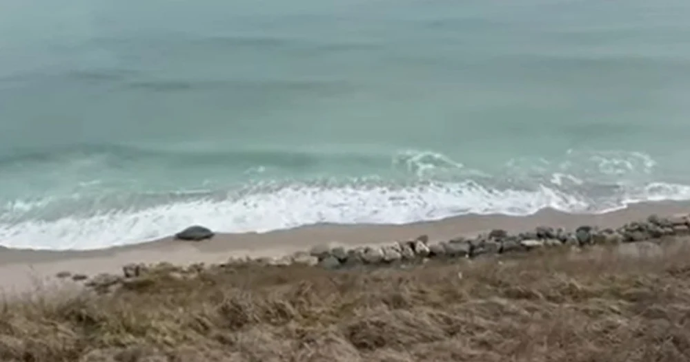 Alertă pe plajă: dronă găsită între Costinești și Tuzla, observată de trei tineri la plimbare cu bicicleta